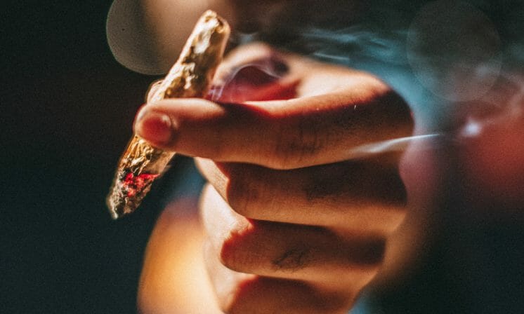REEFER (legislation) MADNESS!