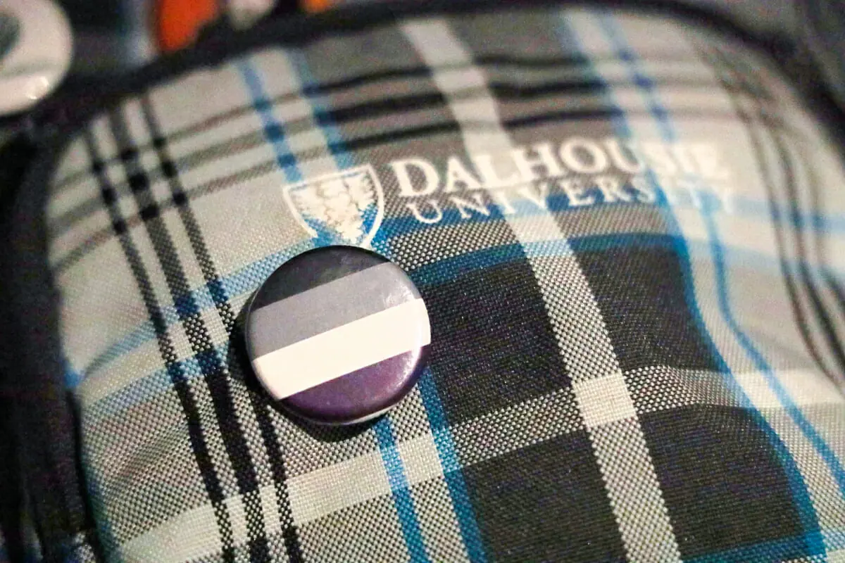 In this image: A pin featuring the asexuality flag.