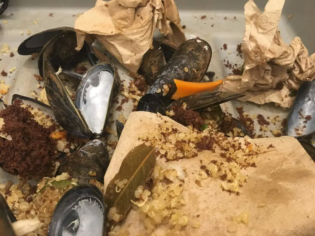 In this image: A bin of leftover quinoa, mussel shells, napkins and other food waste.