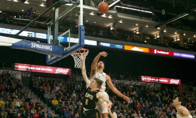 Tigers come up short in semifinals