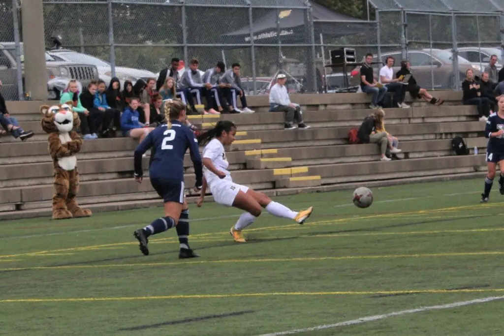 In this image: A girl kicks a soccer ball with the audience in the background.