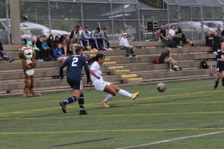 In this image: A girl kicks a soccer ball with the audience in the background.