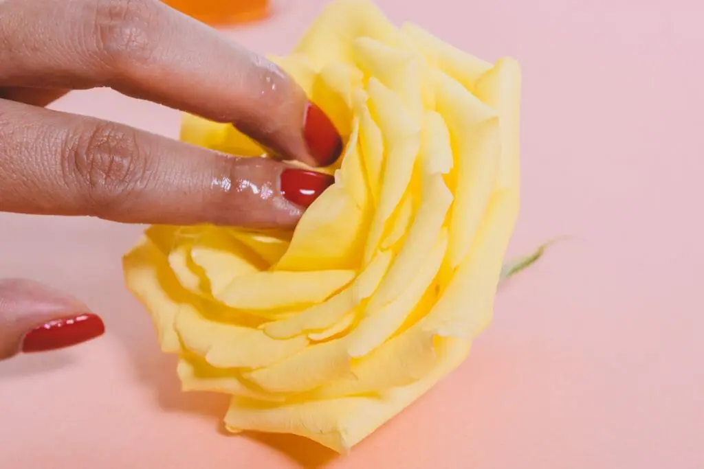 In this image: Two fingers touch the middle of a yellow flower.
