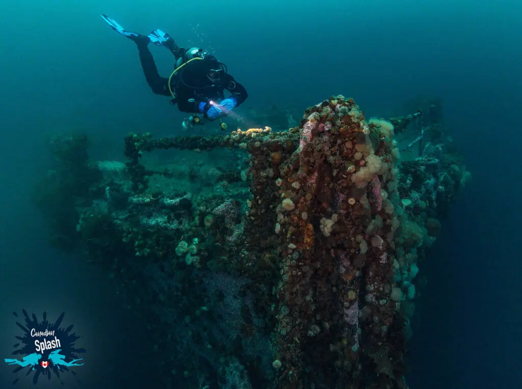 In this image: Joey Postma diving near the bow of a sunken ship.