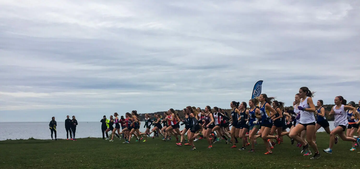 In this image: A large group of women start running in a cross country race.