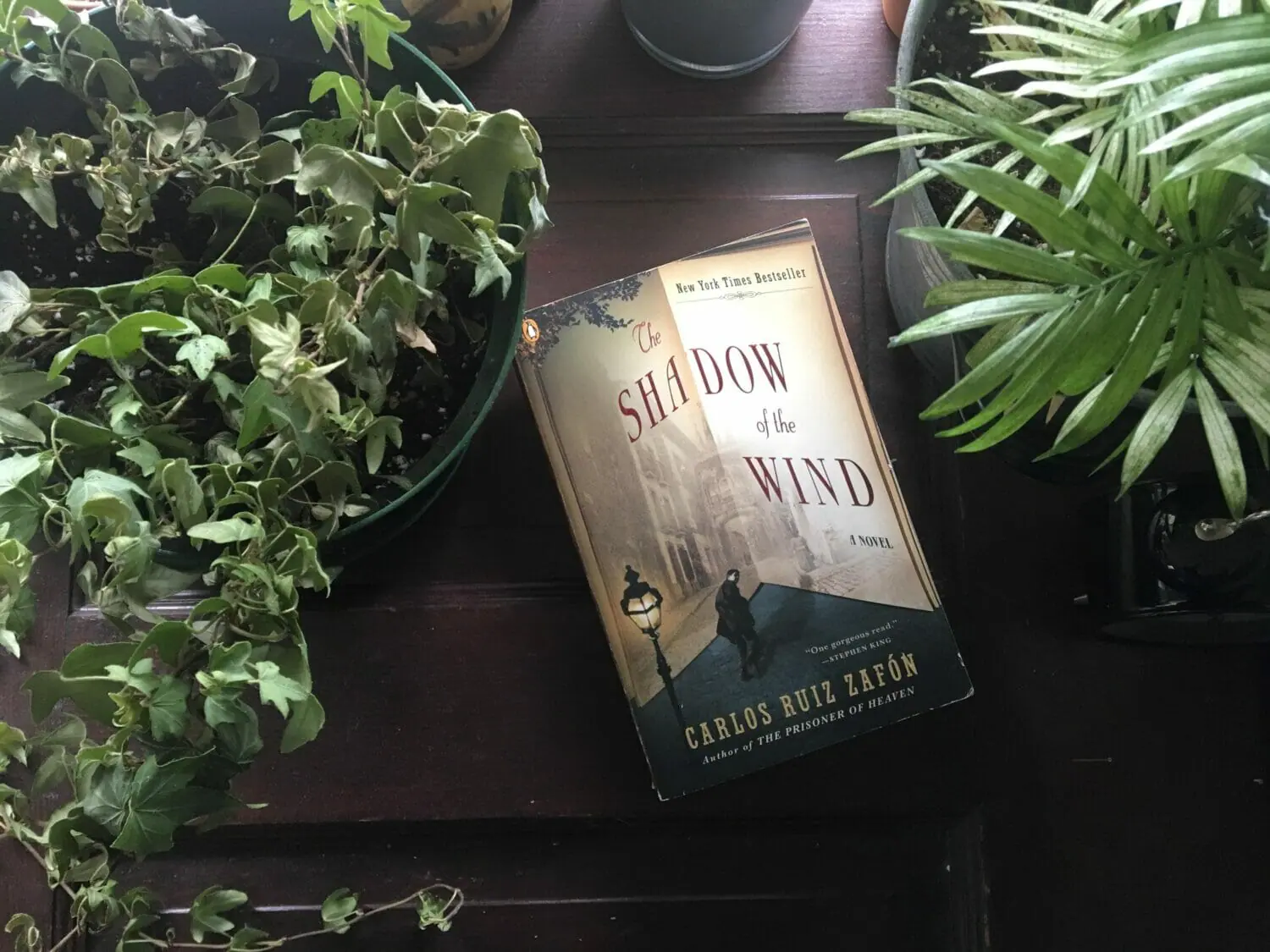 In this image: Book cover of The Shadow of the Wind.