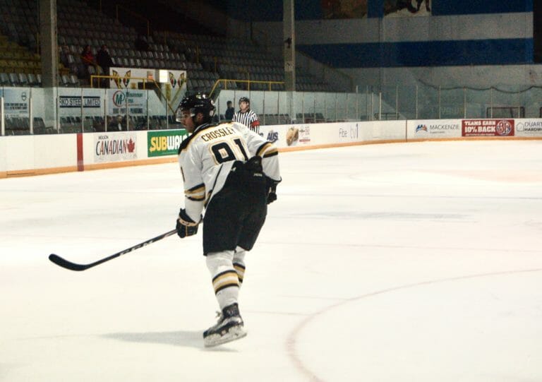 In this image: A Dalhousie Tiger's hockey player.