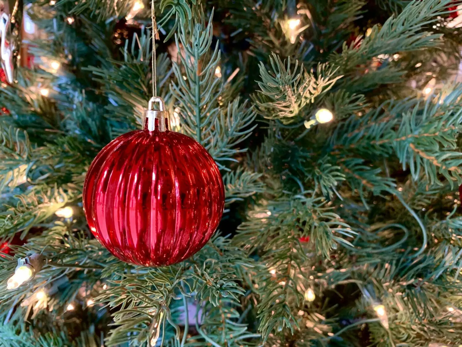 In this image: A red ornament on a Christmas tree.