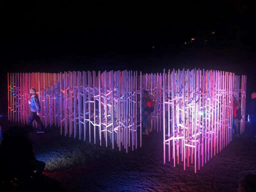 In this image: The "Luminous Cloud" installation at Nocturne 2019.