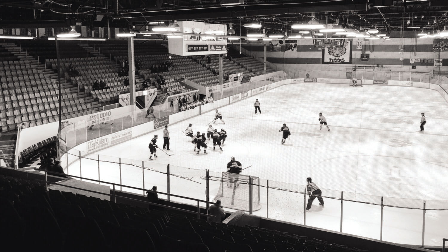 how-to-help-halifax-hockey-dalhousie-gazette