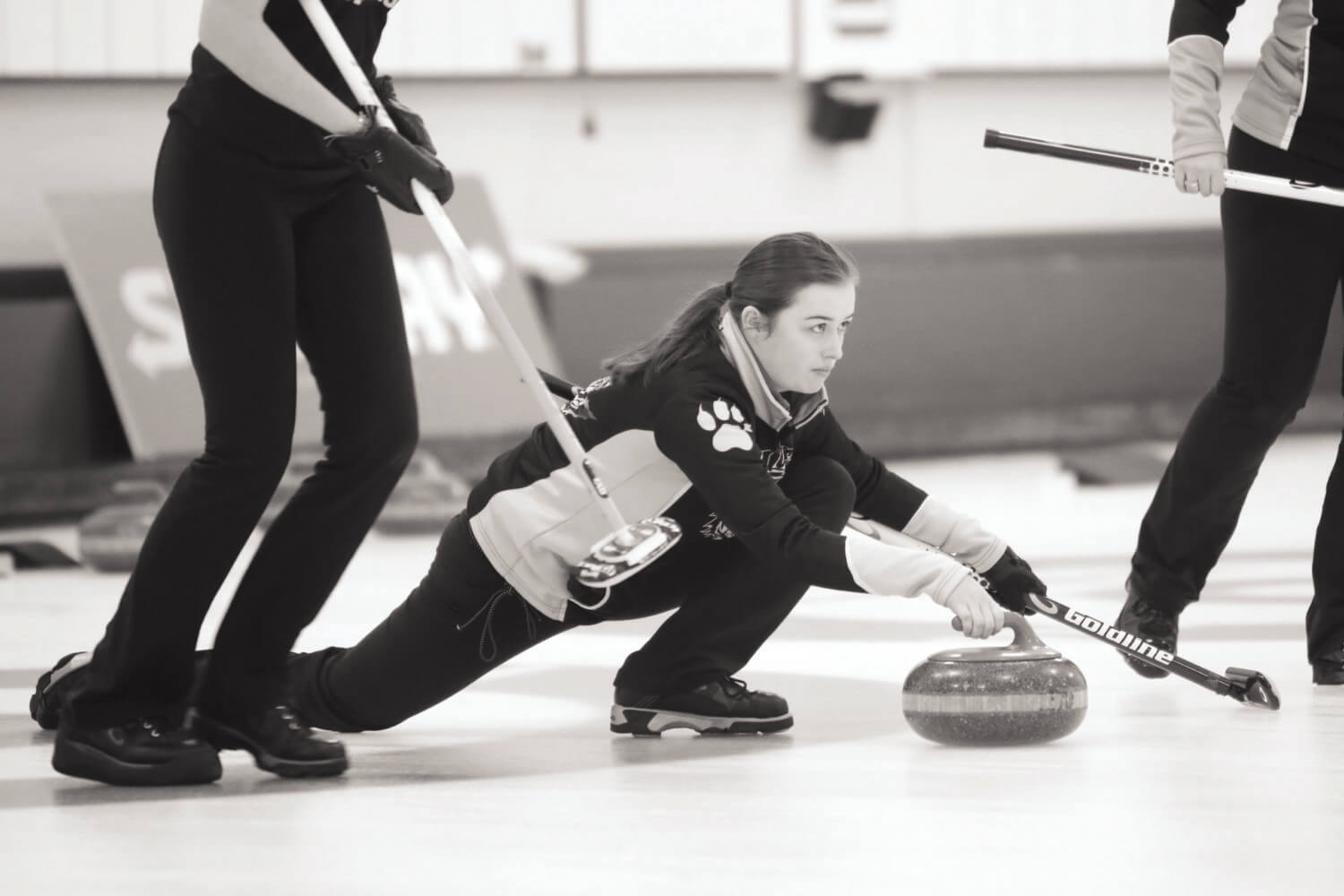 Tigers sweep curling championship Dalhousie Gazette