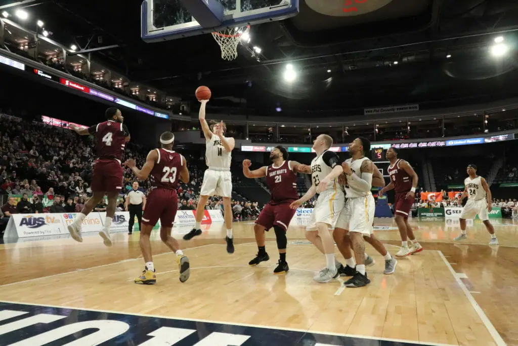 In this image: A Dalhousie Tiger goes to shoot the basketball.