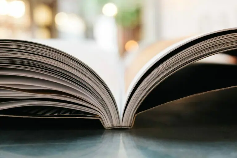 <i></noscript>It Ends with Us</i>: a book for our times