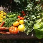 Student Grocery Bursary_Contributed