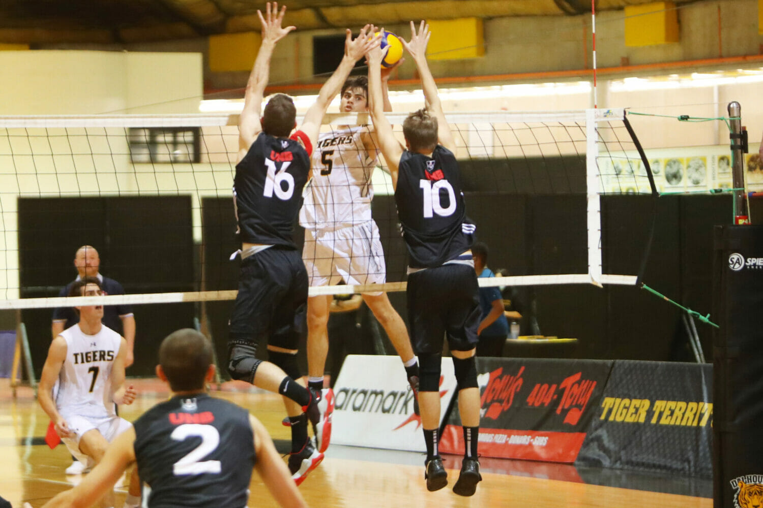 Volleyball opening weekend highlighted by Michael Donovan’s brilliance