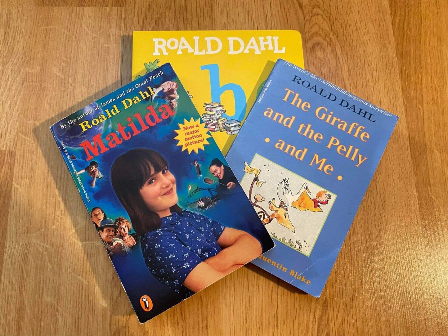 making-dahl-books-more-accessible-dalhousie-gazette