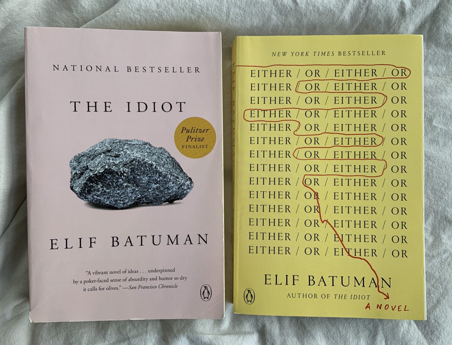 Elif Batuman, The Idiot 