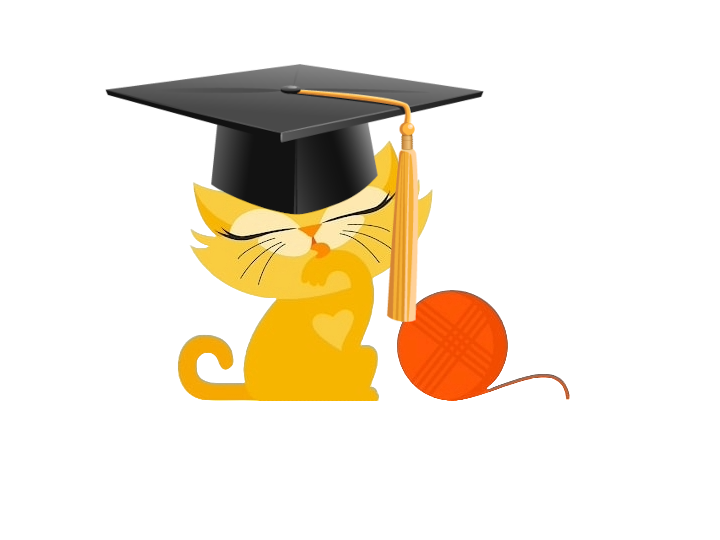 Love letter to the class of 2024: A content kitten, now wearing a graduation cap. We’ve come a long way from lockdown.