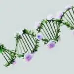 Emergingscienceoflifestyle_GoogleDeepMindPexels