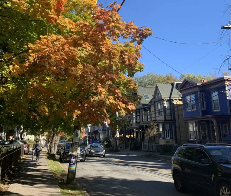 Six things to do over reading week in Halifax
