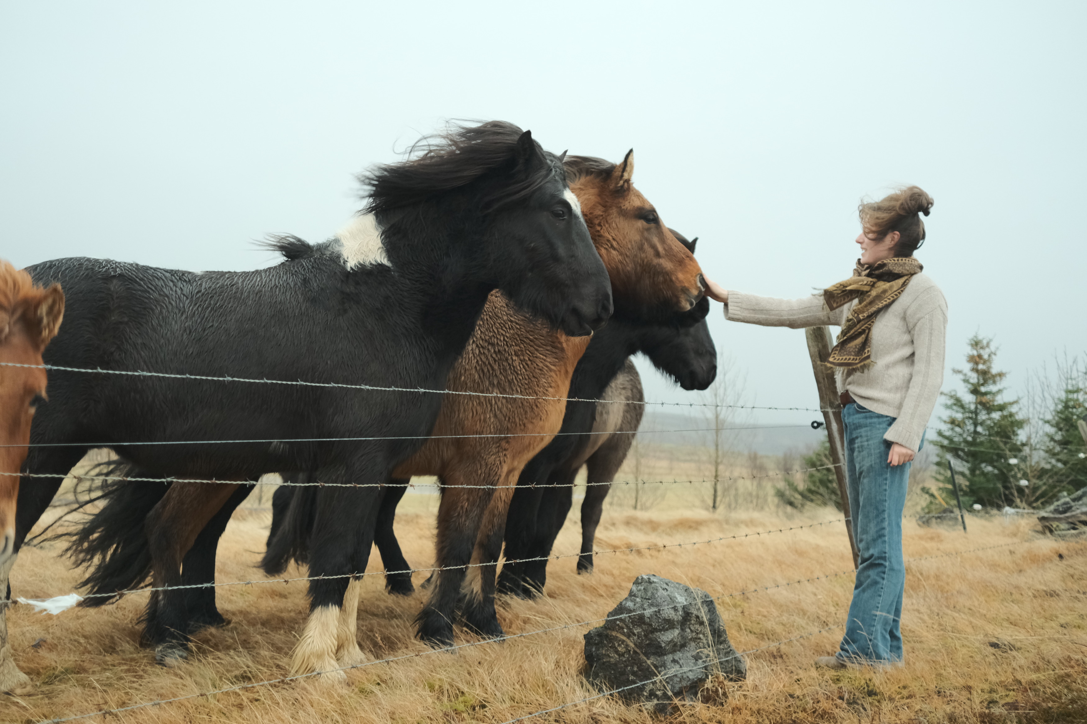 Going to horse school on Dalhousie’s Truro campus