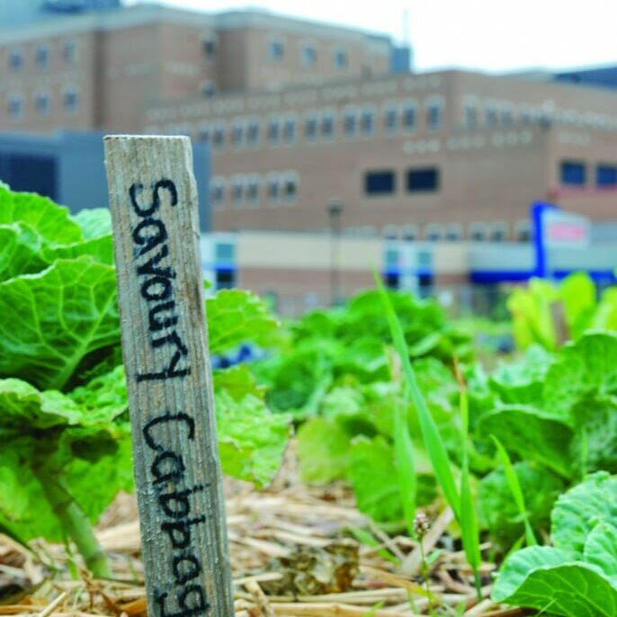 Healthier than a parking lot.