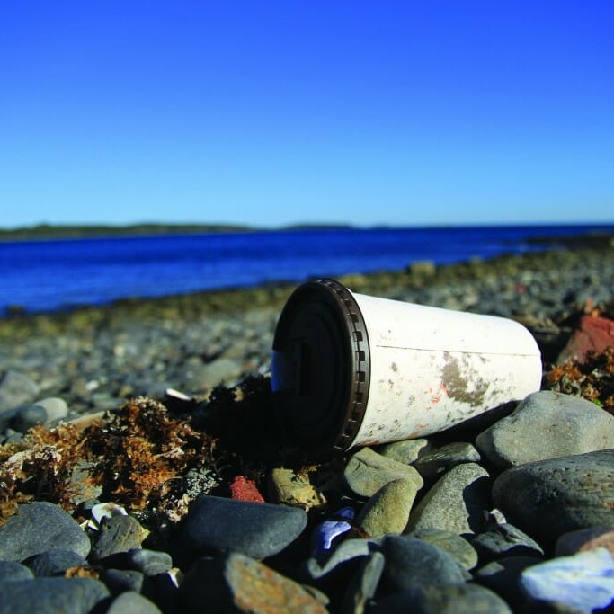 Our wasteful society: The annual global dollars spent on makeup could almost eliminate world hunger. (Bryn Karcha photo)
