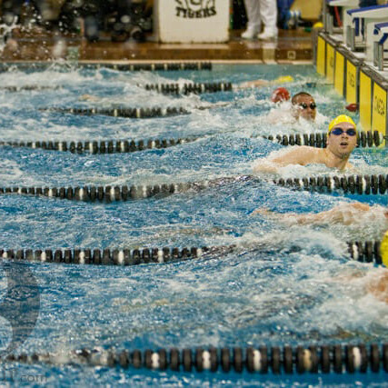 The Tigers were a force in the pool. Archived photo Nov. 20. Photo by Pau Balite