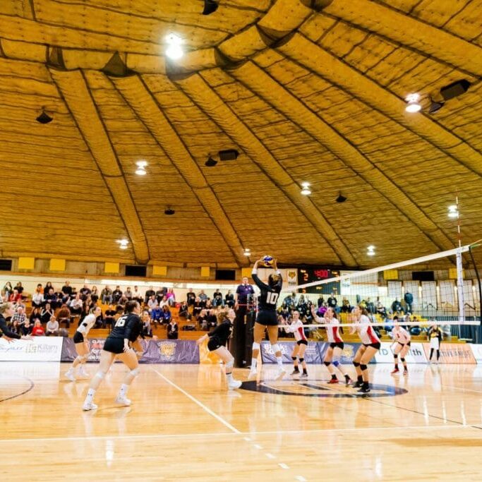 In this image: a volleyball game against Dalhousie and Acadia.