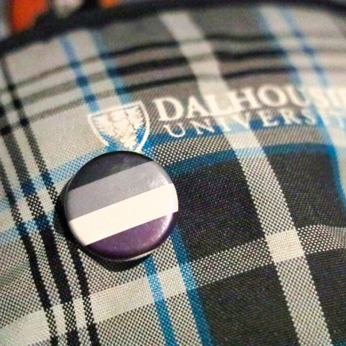 In this image: A pin featuring the asexuality flag.
