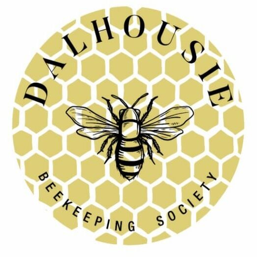 Beekeeping1_Instagram