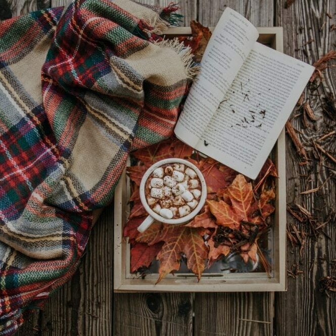 Photo by Alisa Anton via Unsplash
