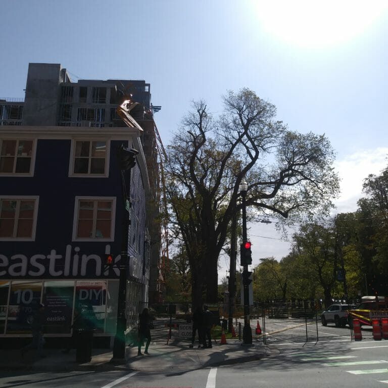 In this image: yellow crane on South Park Street