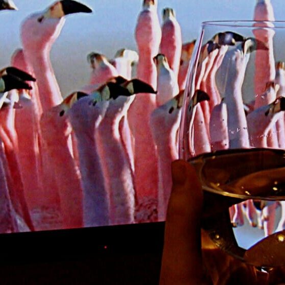 Even when you're tired, your wine fix just won't go away. (Jessica Emin photo)