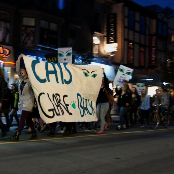 Marching at the Rolling Revolution! Cats Glare Back at Sexual Street Harassment and Sexual Violence protest on Sept. 25, 2015. (Photo by Christine Beaudoin)