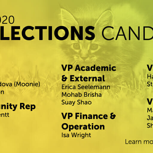 In this image: A graphic of the Dalhousie Student Union elections candidates.
