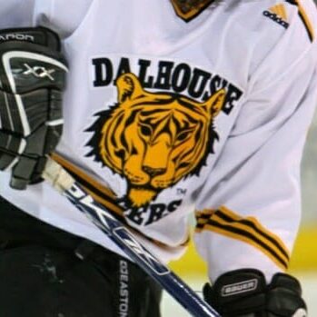 Dalhouse Tigers hockey team