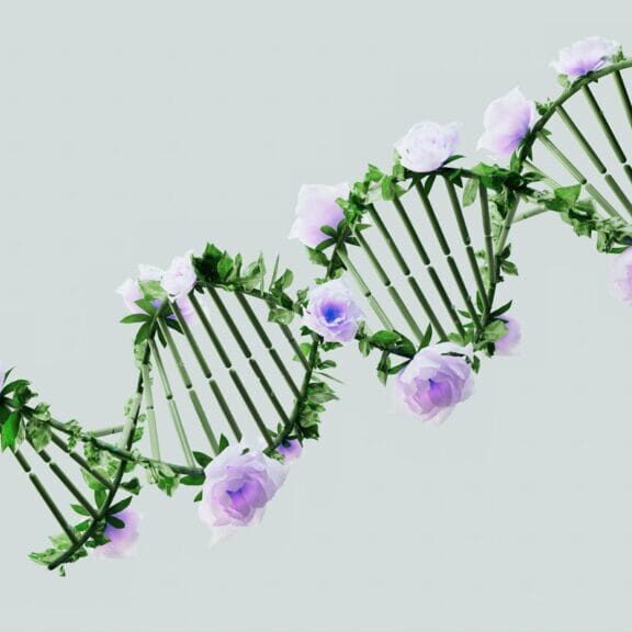 Emergingscienceoflifestyle_GoogleDeepMindPexels Our continuously shifting understanding of the workings of the human body is truly poetic. (Image credit: Google Deep Minds, Pexels)