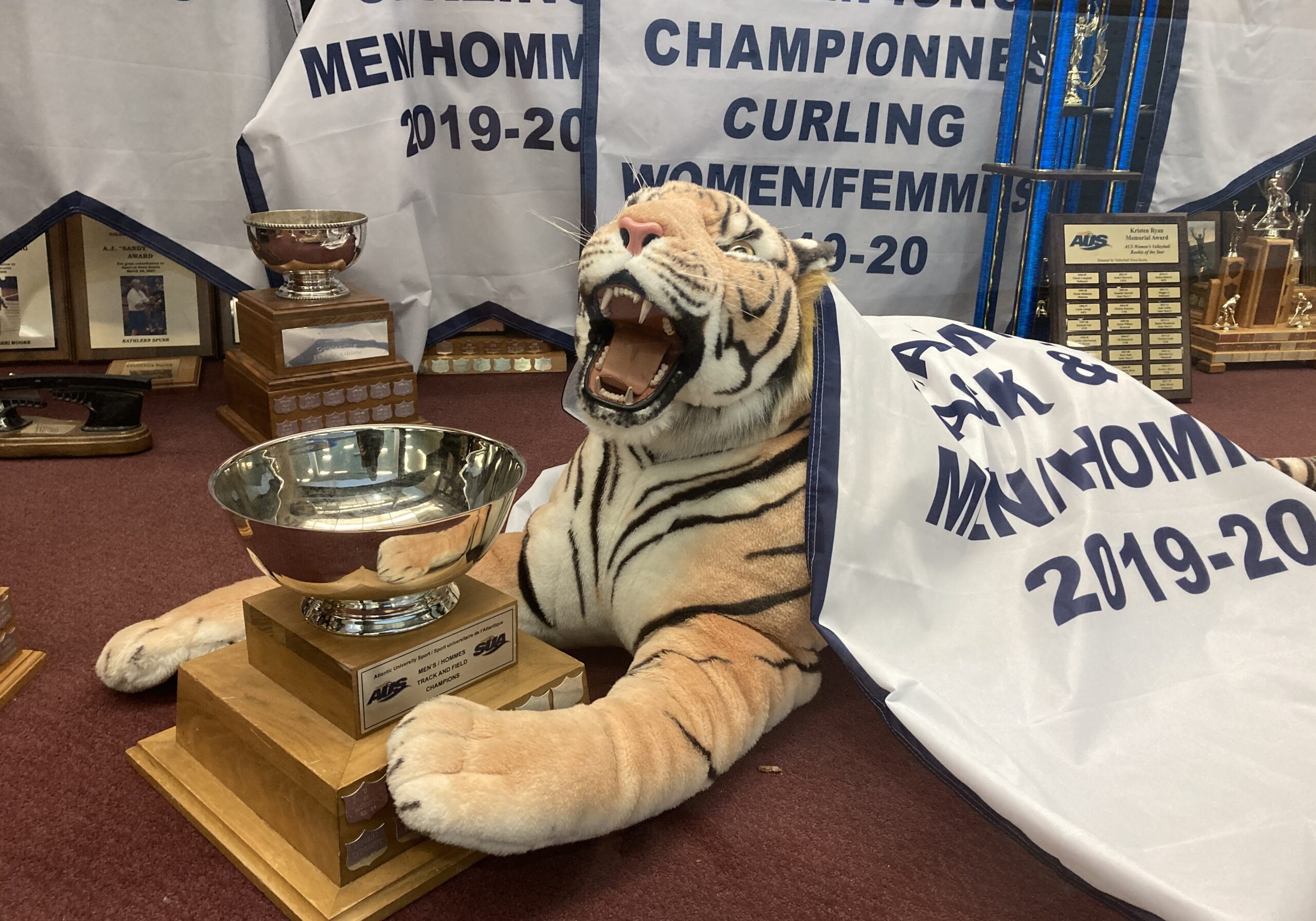 Ex. game update1_Luke Dyment Although no trophies like this one will be up for grabs this season, Dal and two other AUS
schools will share the year’s biggest victory: the chance to play. (Photo by Luke Dyment)