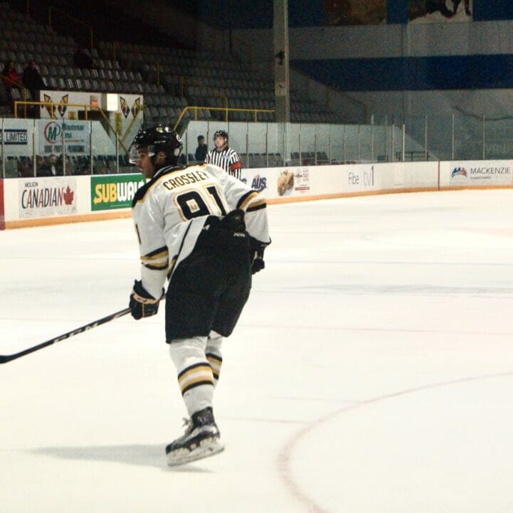 In this image: A Dalhousie Tiger's hockey player.