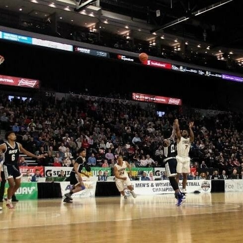 Dal Basketball Fans
