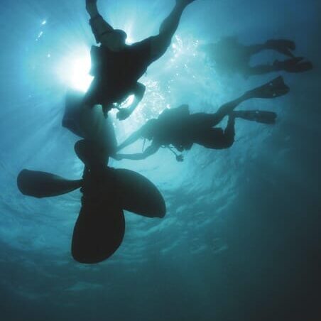 Navy Diver