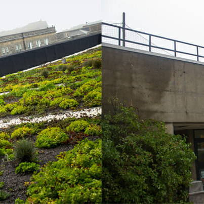 Reflecting on Dalhousie’s spot on a scale of oil sands to No-Impact Man.