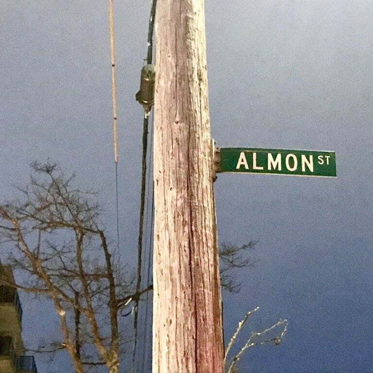 In this image: Almon Street's street sign.