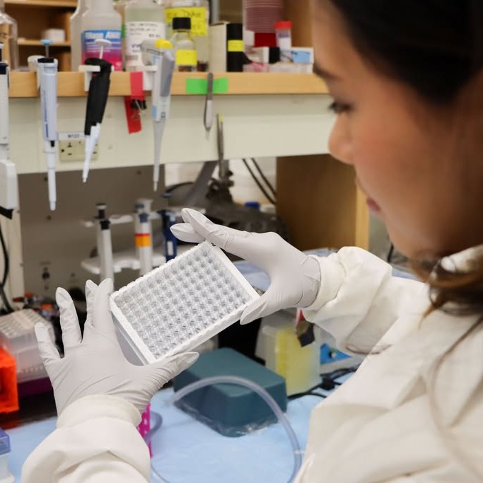  Linh Tran holds an ELISA tray in the Frampton Lab at Dalhousie University in Halifax, on Oct. 13, 2026. (Lukas Kohler/The Dalhousie Gazette)