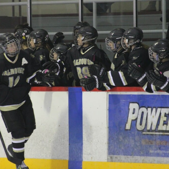 Dal's women's hockey team hopes celebrations like this one will be commonplace at Alumni Arena next season. (Photo by Richard Lafortune)