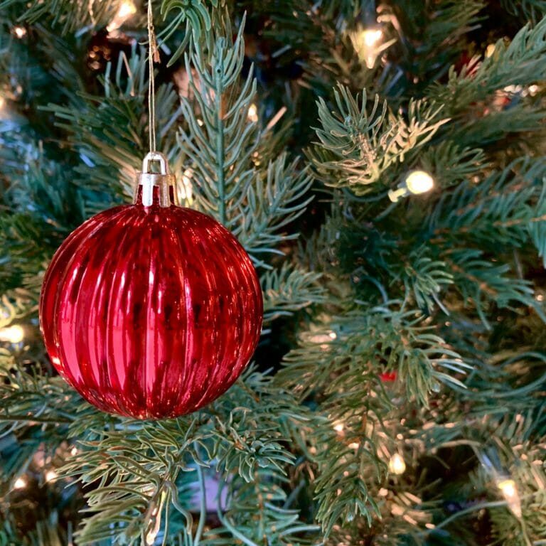 In this image: A red ornament on a Christmas tree.