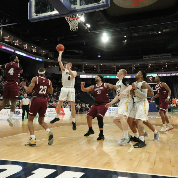 In this image: A Dalhousie Tiger goes to shoot the basketball.