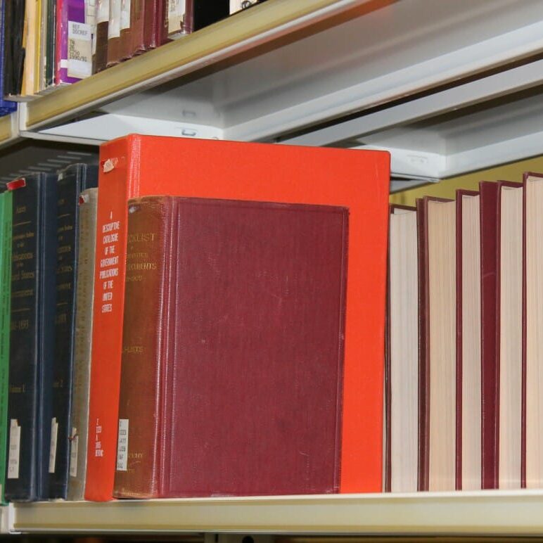 The DSU should focus on library budget cuts next year. (Photo by Asrar Ul Haq)