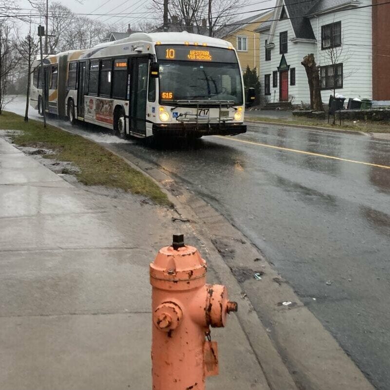 Late bus1_Luke Dyment